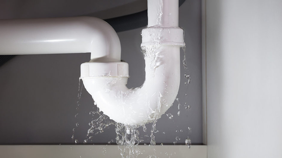 United Plumbing: Plumbing & Drain Experts Reno, NV, photo 3