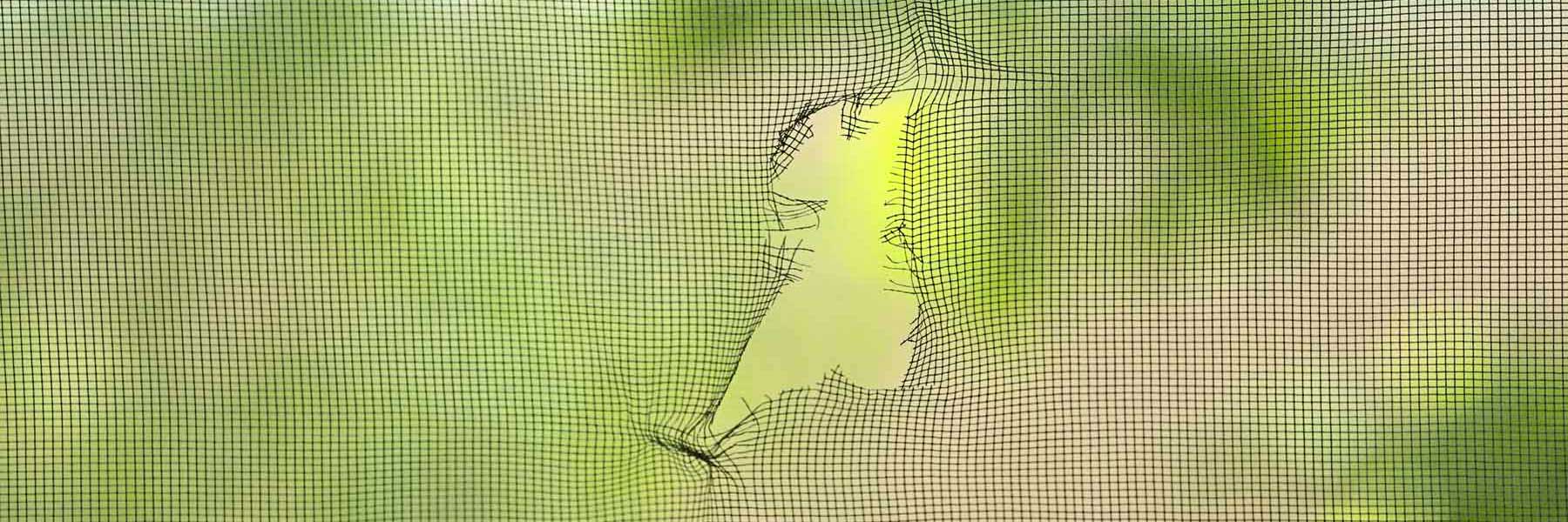 Reno Rescreen: Window Screen Repair Solar Screens, photo 3