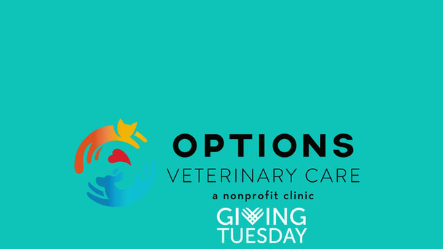 Options Veterinary Care, photo 2