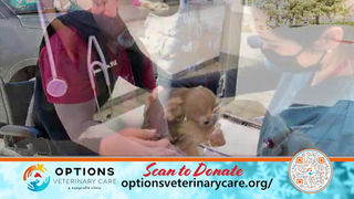Options Veterinary Care, photo 5