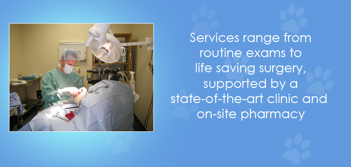 South Reno Veterinary Hospital Pet Exams, Vaccinations & Emergency ..., photo 1
